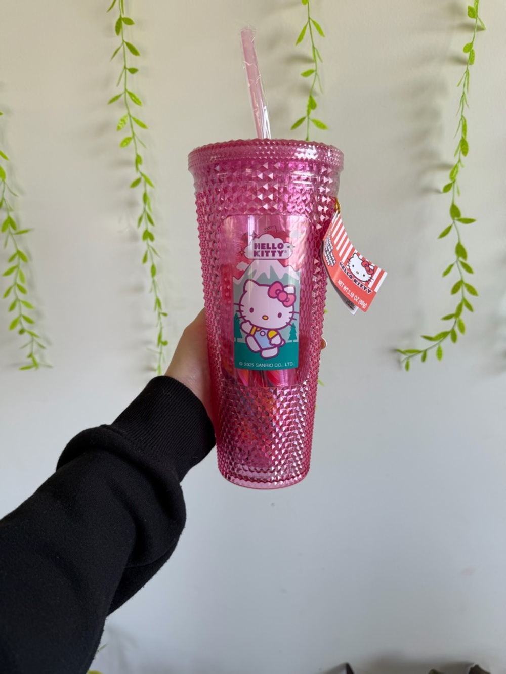 Hello Kitty Hot Pink Studded Tumbler with Straw 24oz